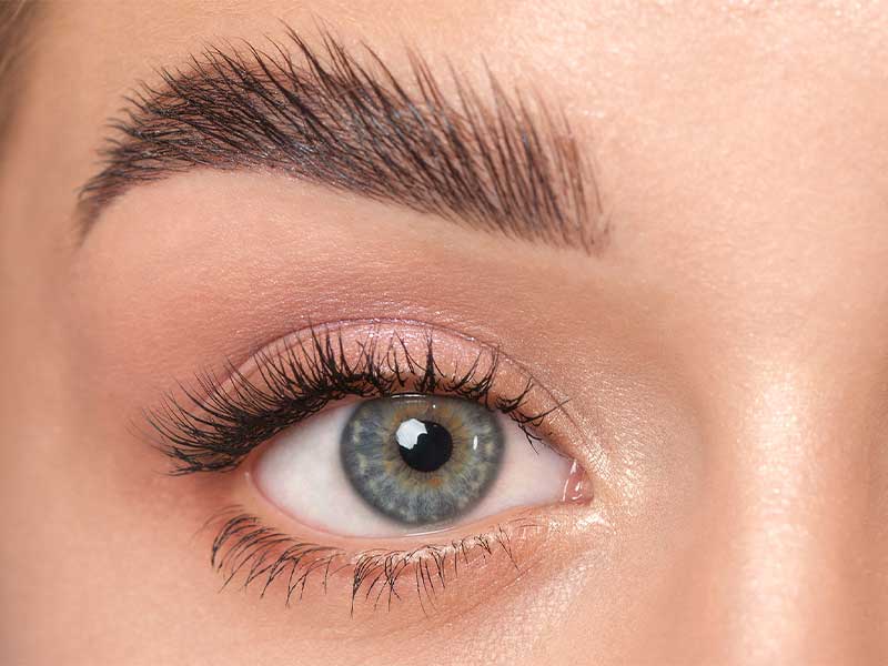 BB Services Microblading + Touch Up